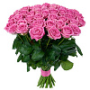 Букет из 51 розы Аква (розовая) 60 см