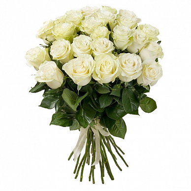 Букет из 25 роз Аваланж (белая)