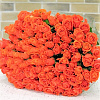 Букет из 101 розы Вау (оранжевая) 50 см