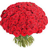 Букет из 151 розы Гран При (красная) 70 см