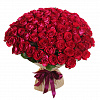 Букет из 101 розы Черри (вишневая) 70 см