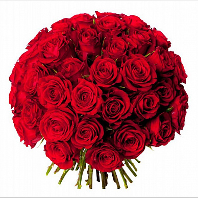 Букет из 101 розы Ред Наоми (бордовая)
