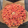 Роза Мисс Пигги (лососево-розовый) 80 см