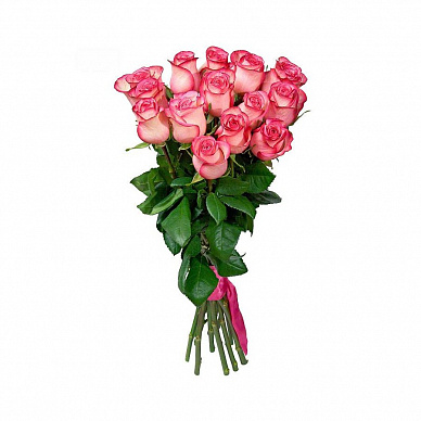 Букет из 25 роз Джамиля (двухцветная)