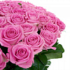 Роза Аква (розовая) 80 см