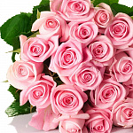 Роза Хэвен (нежно-розовая) 80 см