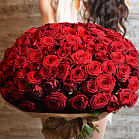 Букет из 101 розы Гран При (красная)
